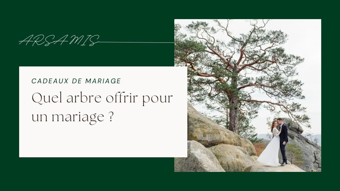 Quel arbre offrir pour un mariage ?