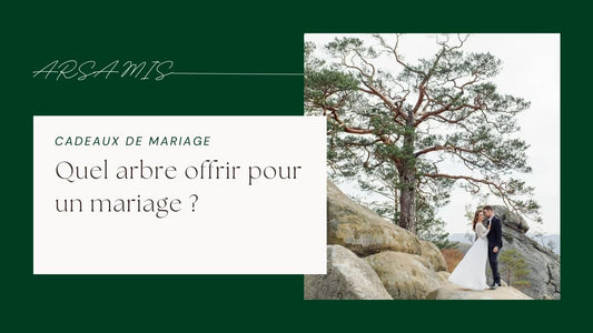 Quel arbre offrir pour un mariage ?