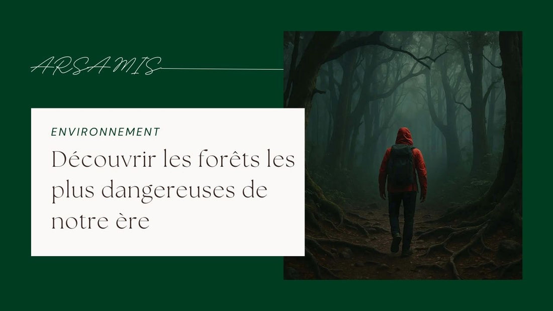 Découvrir les forêts les plus dangereuses de notre ère