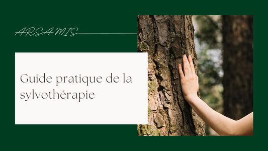 Guide pratique de la sylvothérapie