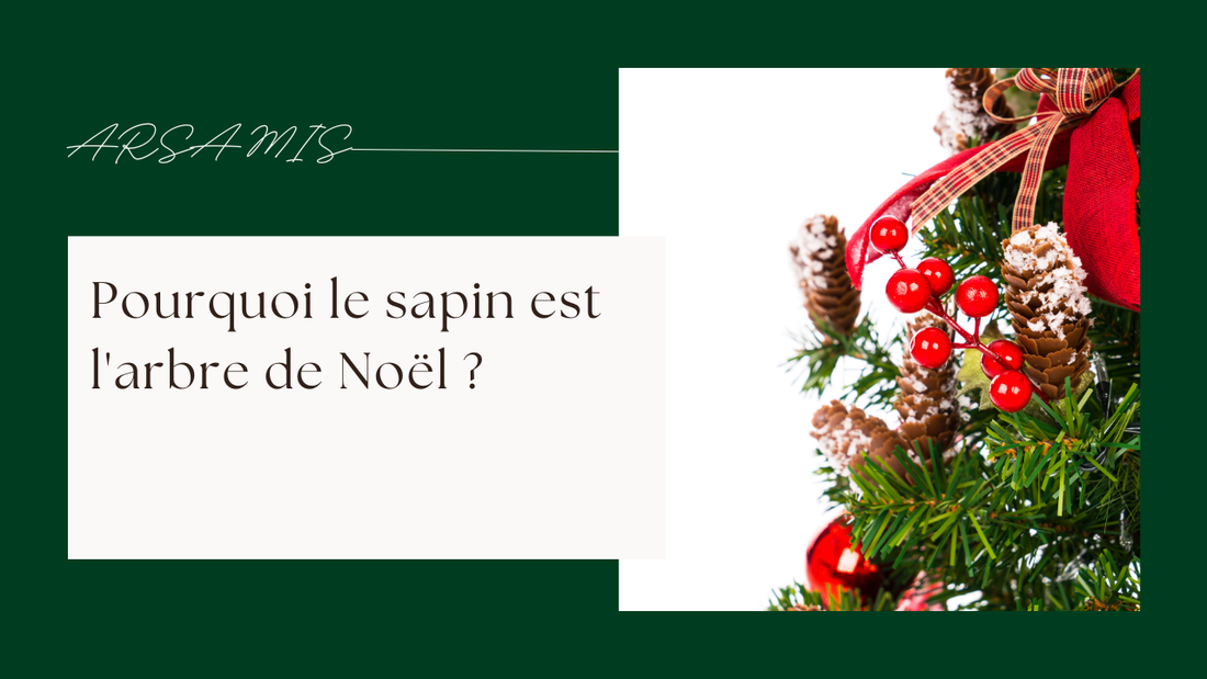 Pourquoi le sapin est l'arbre de Noël ?